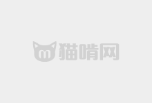 “字體命名編輯” 解決字體中文名稱無法正確顯示問題-貓啃網